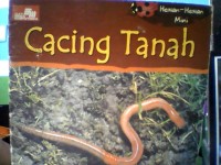 Image of cacing tanah