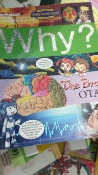 Image of why?the brain otak